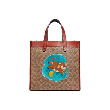 COACH Cow Leather Tote Bag Shopping Bag Shoulder Bag Crossbody Bag Handbag Large Size Women's Brown