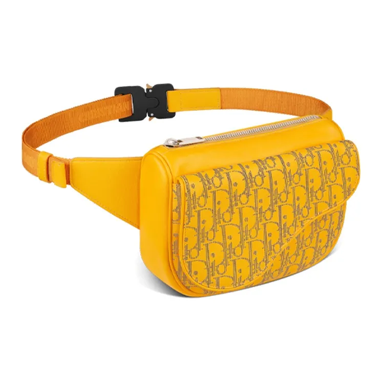 DIOR Saddle Fanny Packs-1