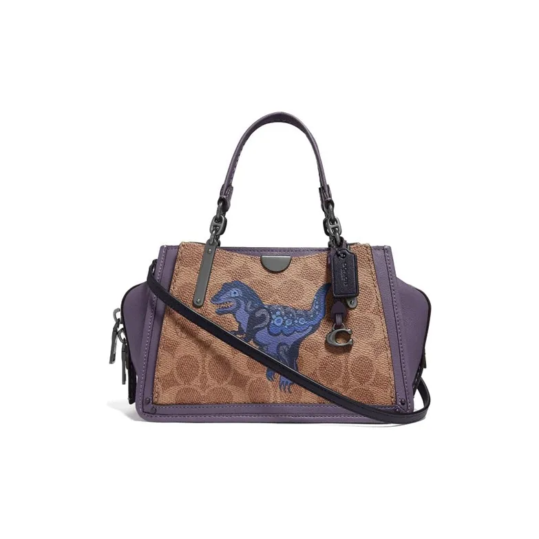 COACH Dreamer Handbags-0