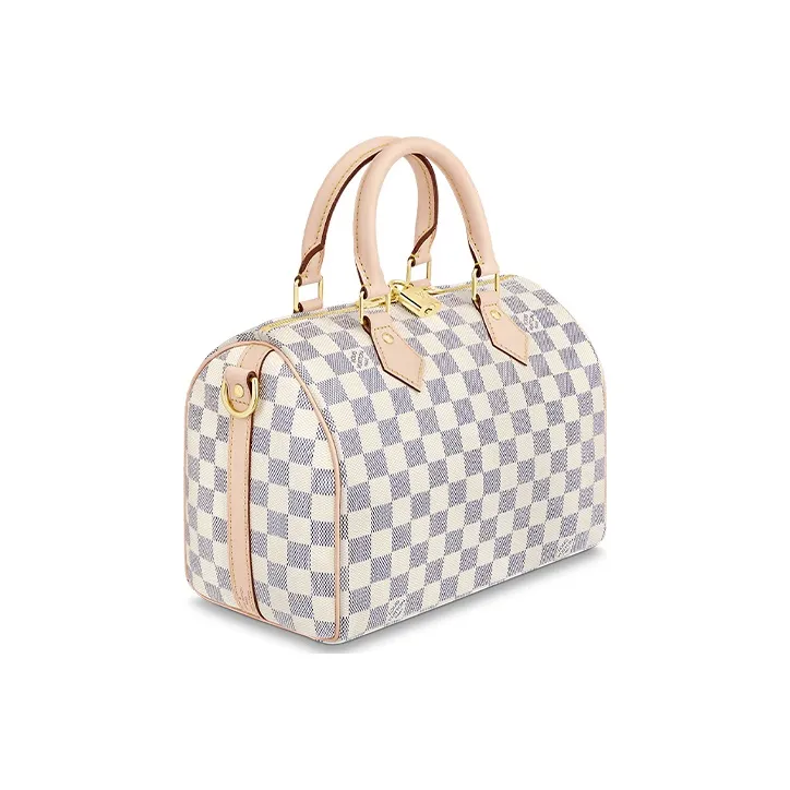 LOUIS VUITTON Speedy Handbags-1