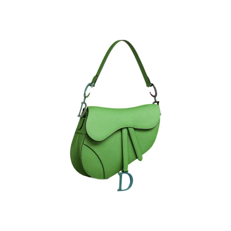 DIOR Saddle Handbags-1