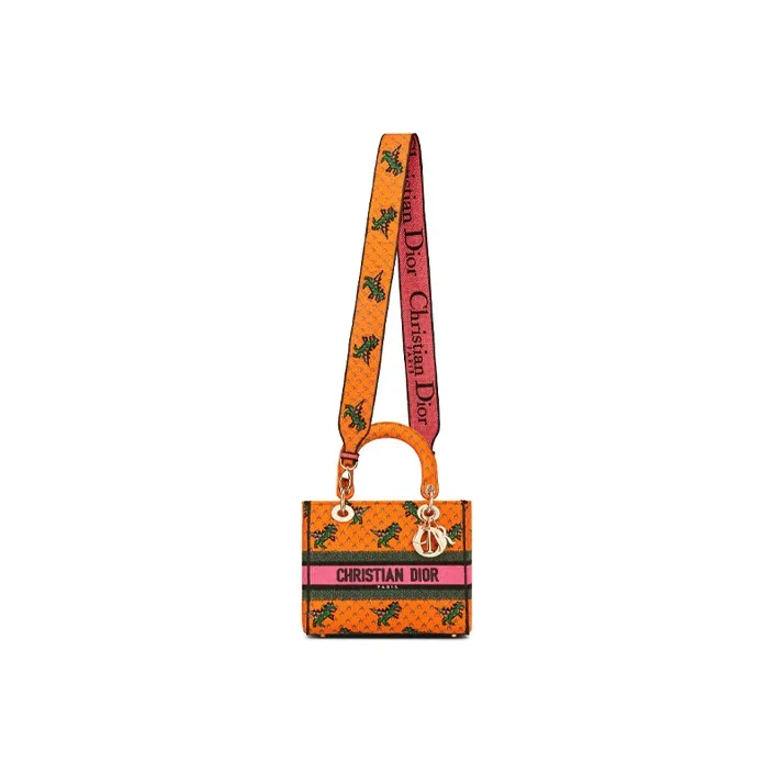 DIOR Lady D Lite Handbags-4