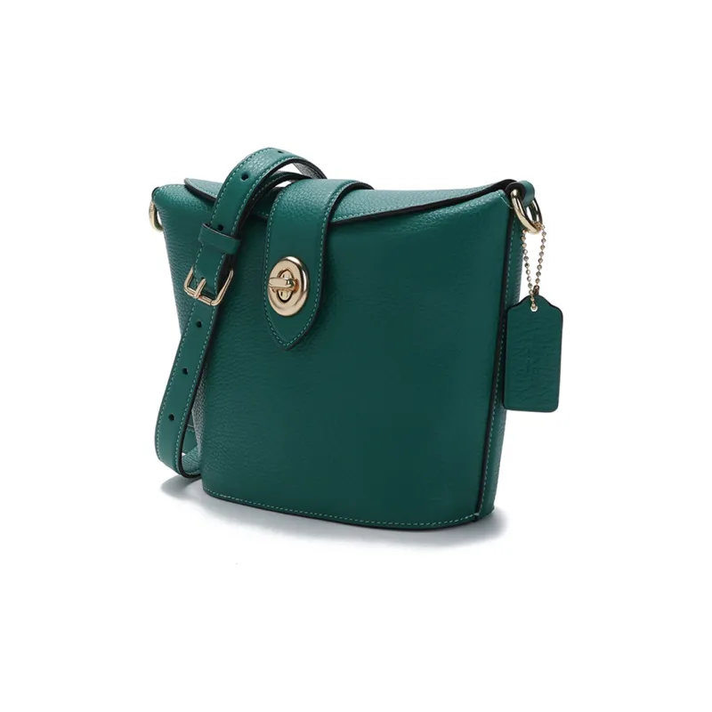 COACH Addie Pebbled Cow Leather French Fries Bag Shoulder Bag Small Size Women's Emerald Green-1