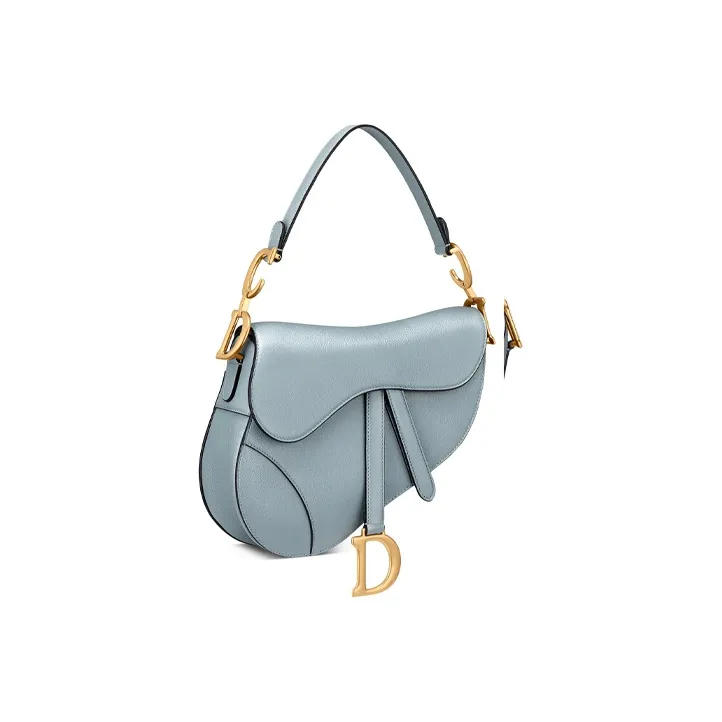 DIOR Saddle Handbags-1