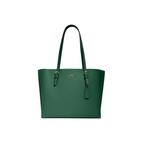 COACH Mollie Leather Handbag Crossbody Bag One Shoulder Tubas Women's Green