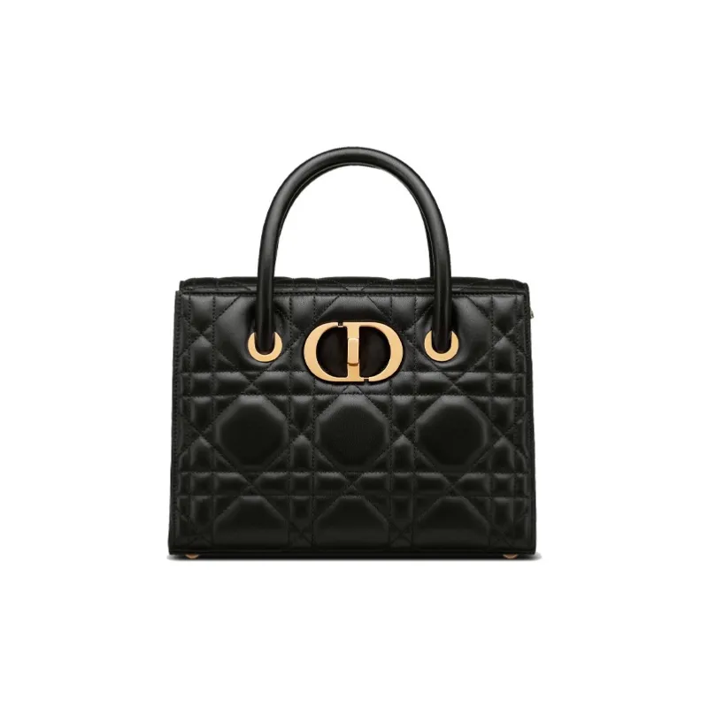 DIOR 30 Montaigne Handbags-0