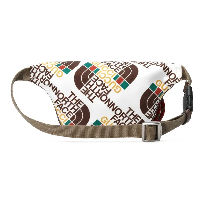 The North Face X GUCCI Fanny Packs-3