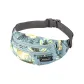 HIBTROPLED-Light Blue Large Print