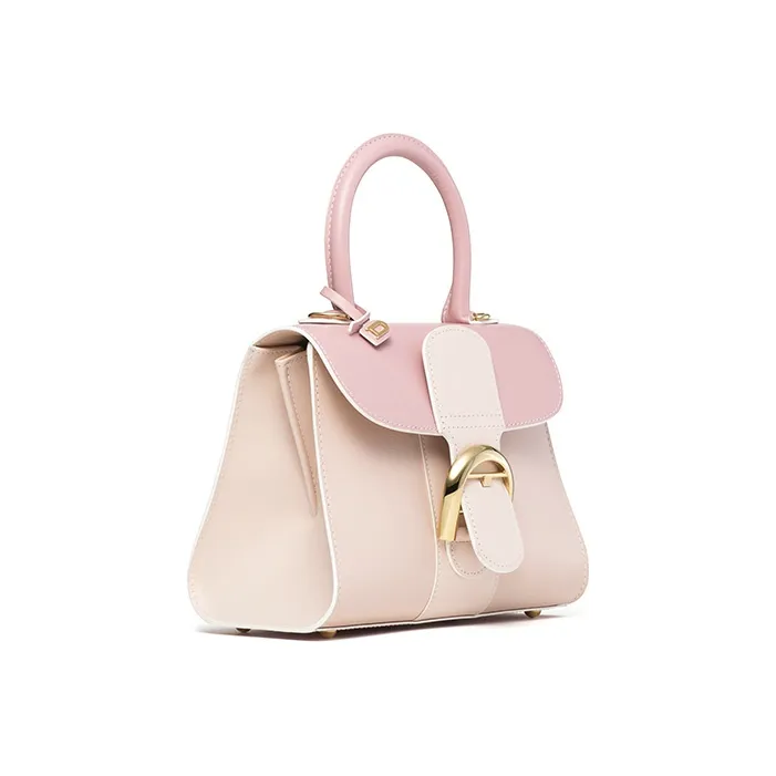 Delvaux Brillant Handbags-1