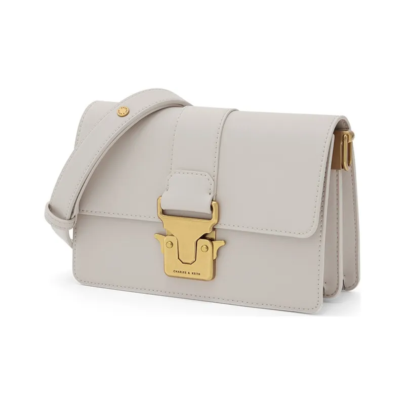 CHARLES&KEITH PU Small Square Bag, Crossbody Bag Women's Multicolor-9