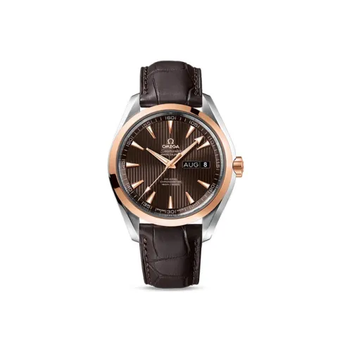 OMEGA Seamaster Aqua Terra 231.23.43.22.06.002