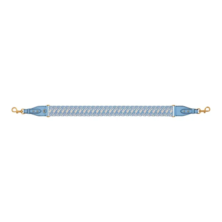 DIOR Cow Leather Bag Straps Women's Cornflower Blue-1