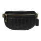 Bag+Dust Bag