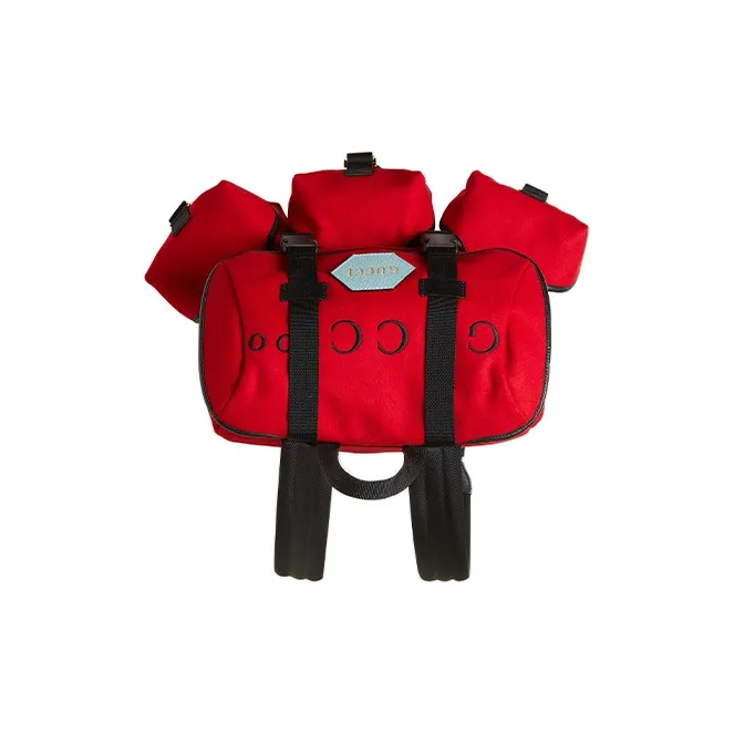GUCCI Backpacks-5