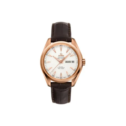 OMEGA Men AQUA TERRA 150 Meters Watch