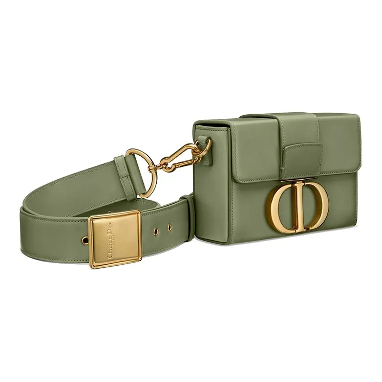 DIOR 30 Montaigne Shoulder Bags-1