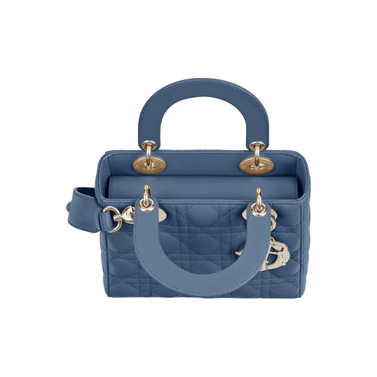 DIOR Lady DIOR Handbags-2