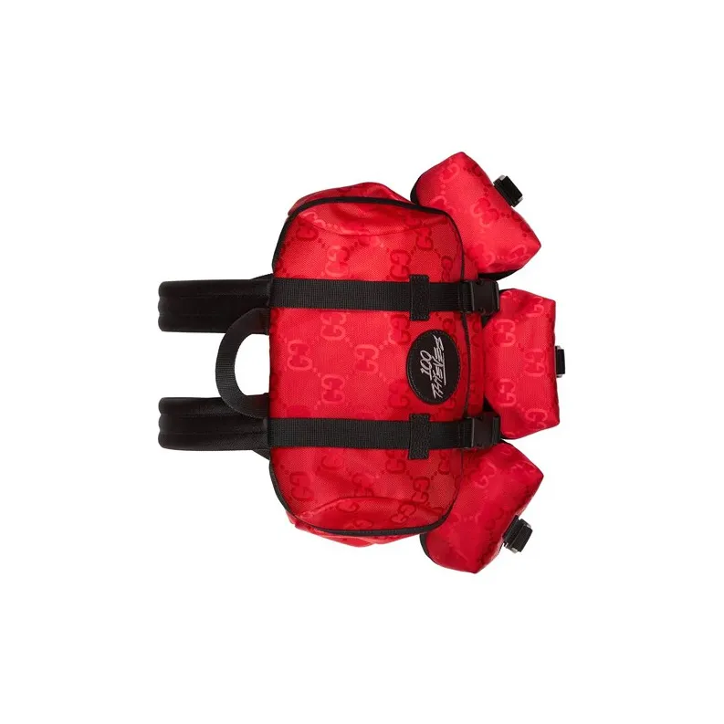 GUCCI Backpacks-4