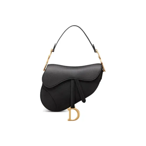 DIOR Saddle Handbags