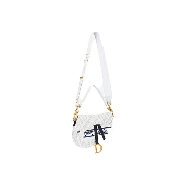 DIOR Saddle Handbags-1