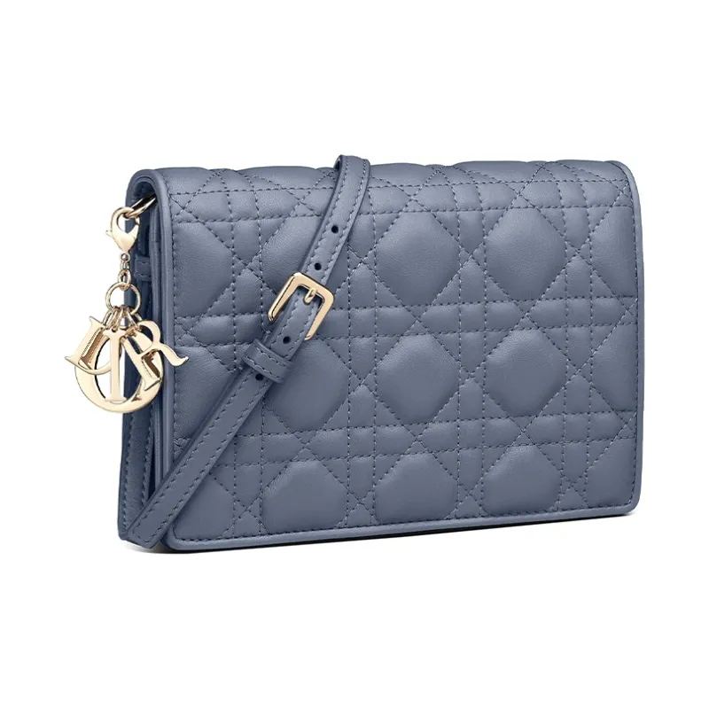 DIOR Lady DIOR Shoulder Bags-1