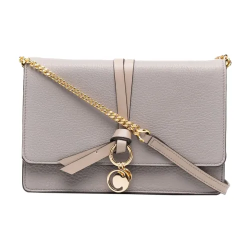 Chloé Bags Clutches