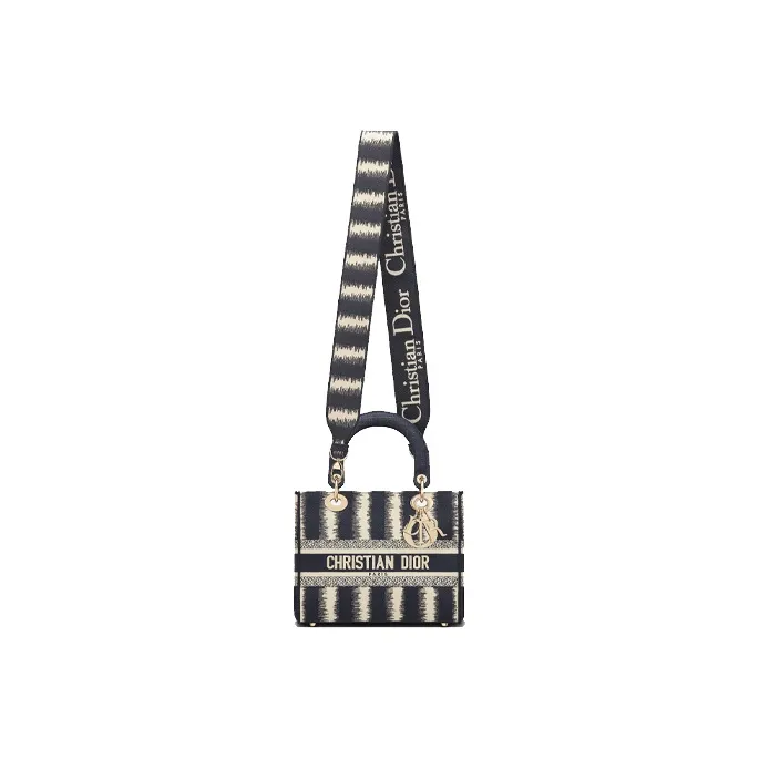 DIOR Lady D Lite Handbags-3