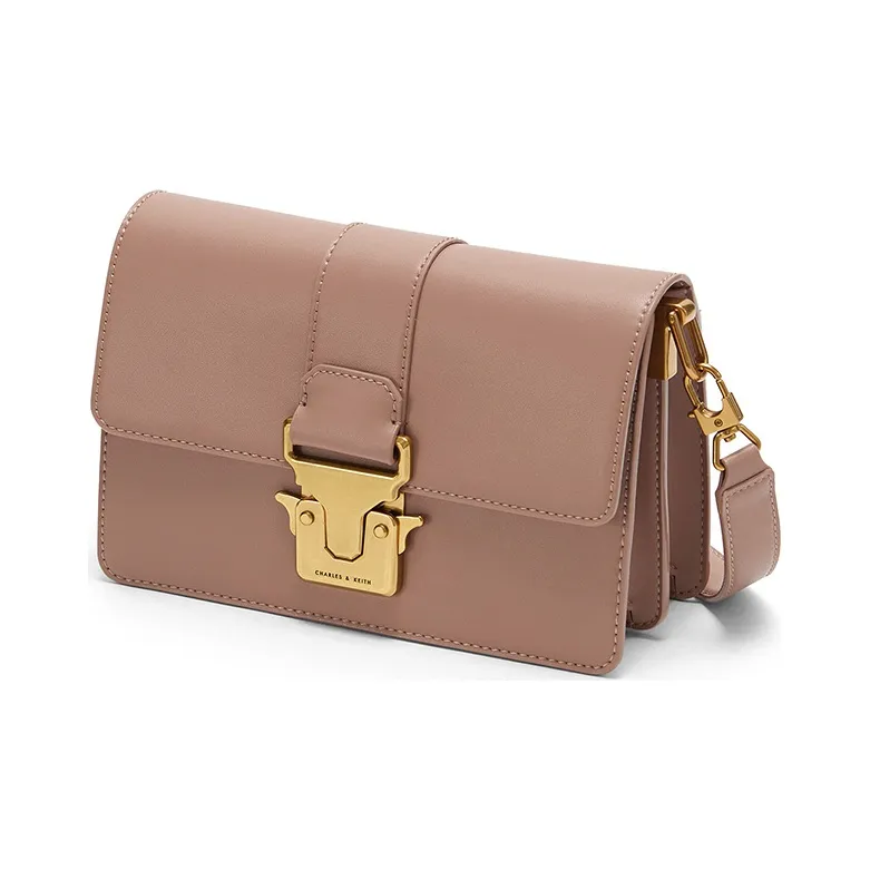 CHARLES&KEITH PU Small Square Bag, Crossbody Bag Women's Multicolor-14