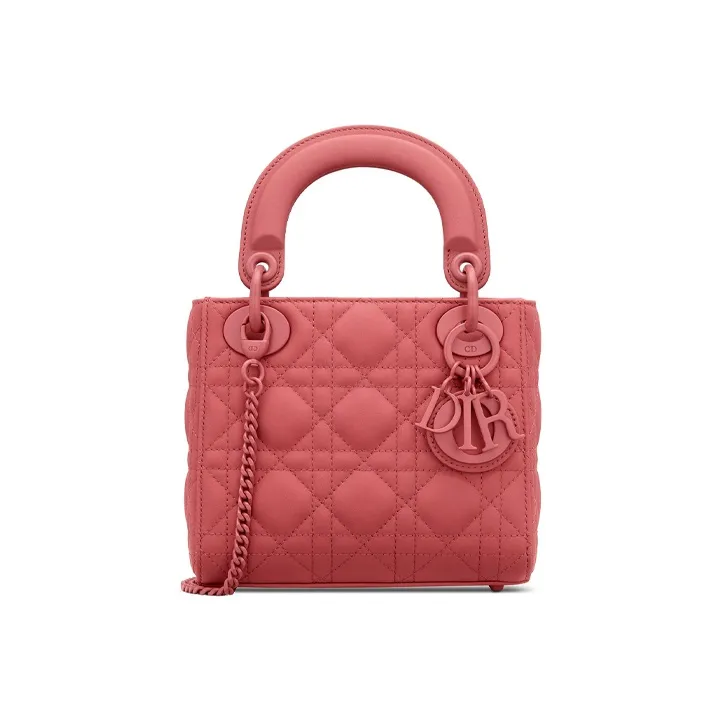 DIOR Lady DIOR Handbags-0