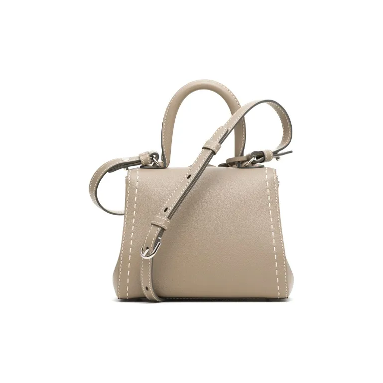 Delvau Brillant Calfskin Handbag, Crossbody Bag, Shoulder Bag Mini Women's Dove Gray-2