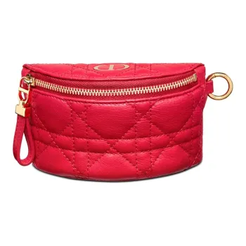DIOR Clutches