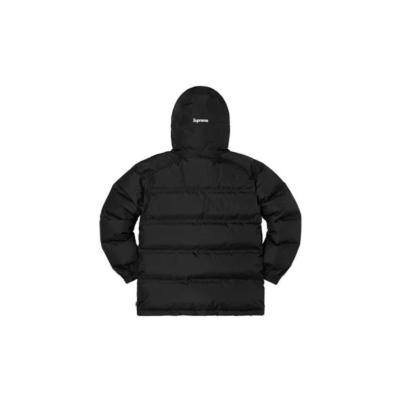 Supreme GORE TEX 700 Fill Down Parka FW19-1