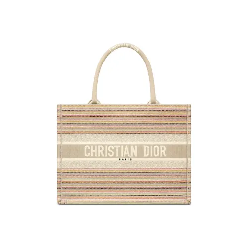 DIOR BookTote Handbags