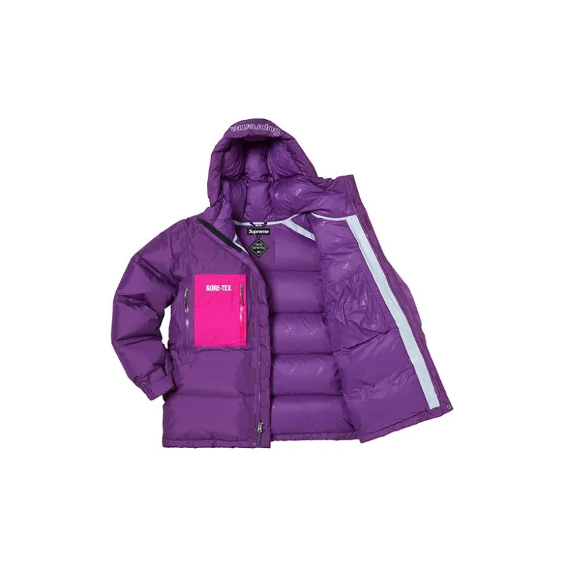 Supreme GORE TEX 700 Fill Down Parka FW19-2