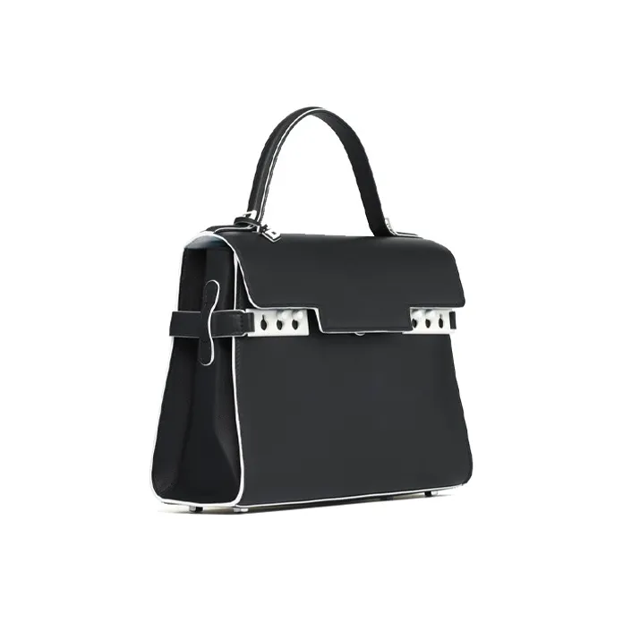 Delvaux Tempête Handbags-1