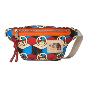 GUCCI The North Face Collaboration Nylon With Leather Sling Bag, Fanny Pack Unisex Multicolor