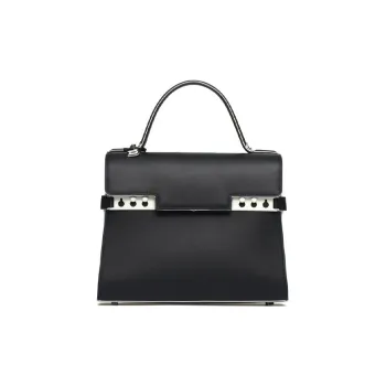 Delvaux Tempête Handbags