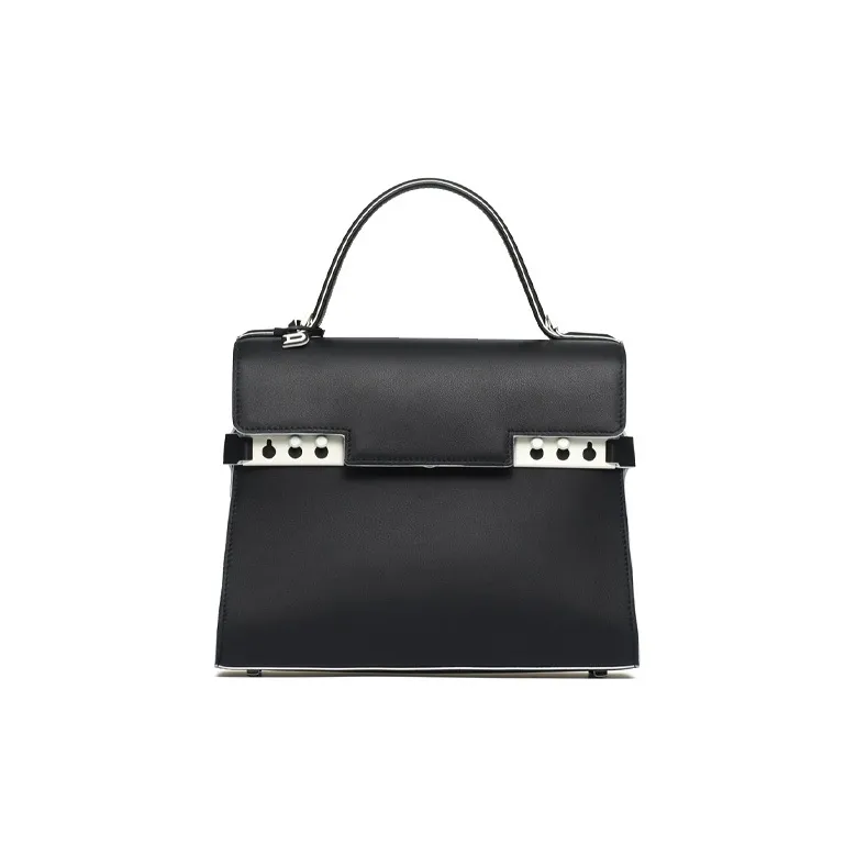 Delvaux Tempête Handbags-0