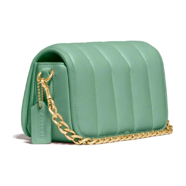 COACH Dinky Lambskin Leather Shoulder Bag, Crossbody Bag Small Size Women's Macaron Green-1