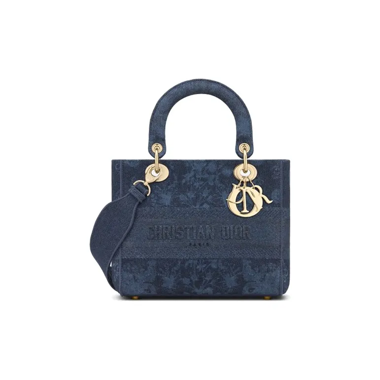 DIOR Lady D Lite Handbags-0