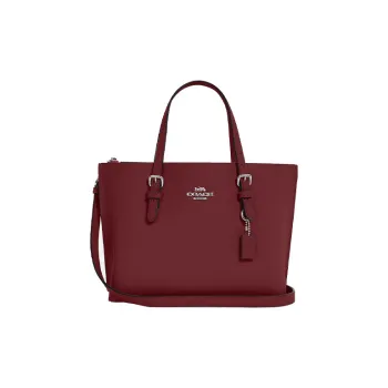 COACH Mollie Handbags
