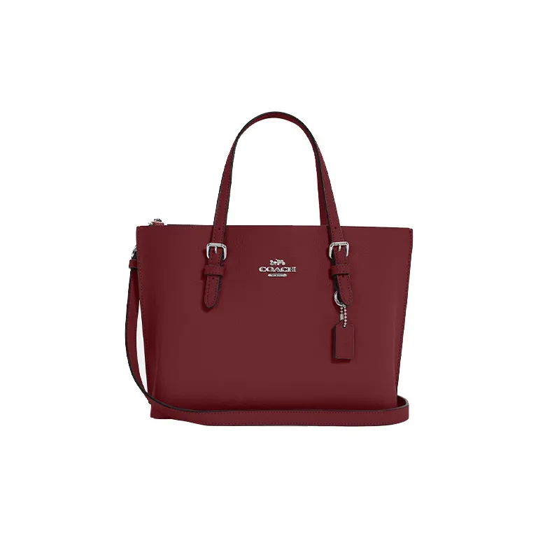 COACH Mollie Handbags-0