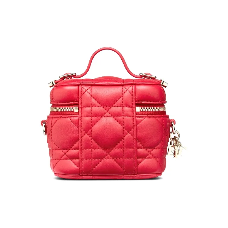 DIOR Lady DIOR Makeup Bags-2