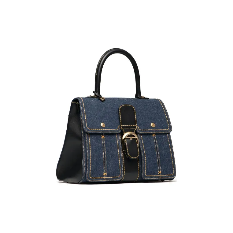 Delvaux Brillant Handbags-1