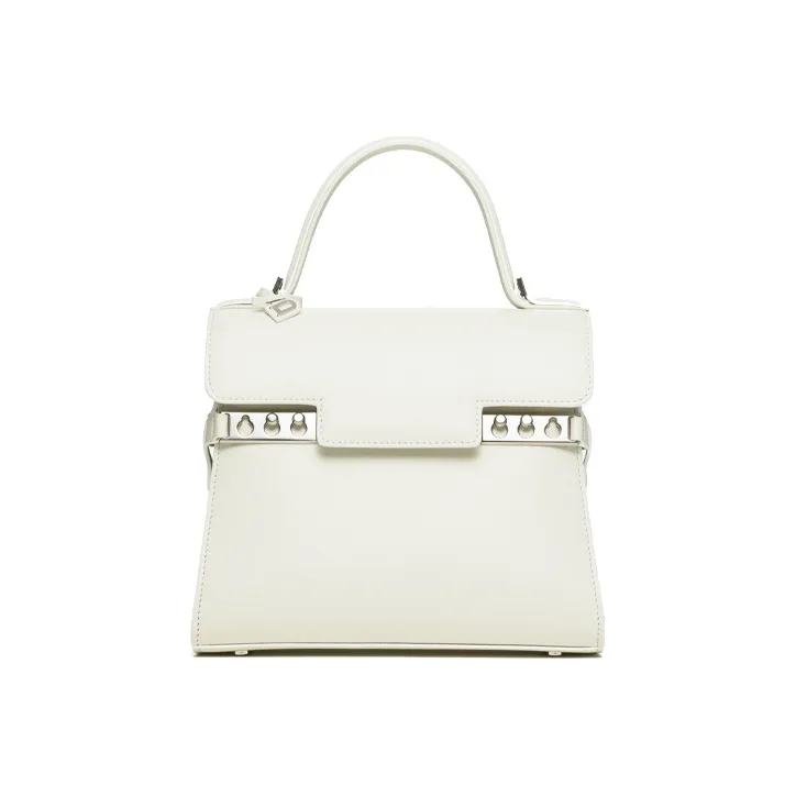 Delvaux Handbags-0