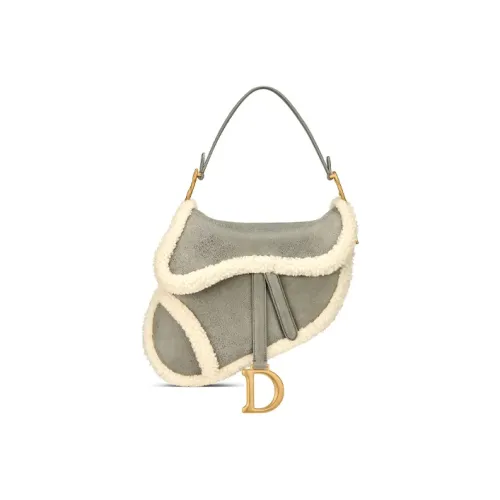 DIOR Saddle Handbags