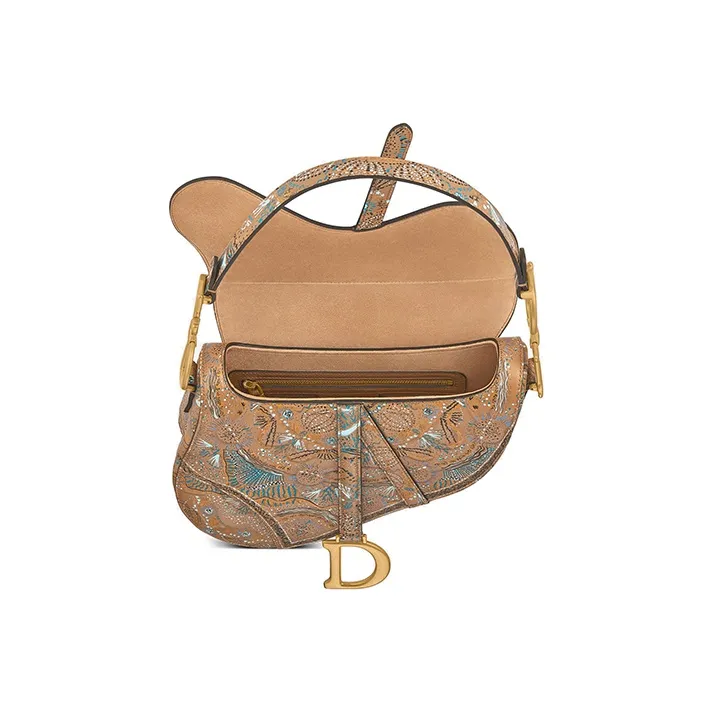 DIOR Saddle Handbags-3