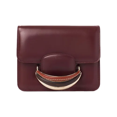 Chloé Bags Clutches