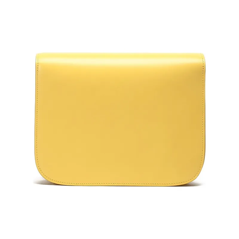 CELINE Classic Box Crossbody Bags-2