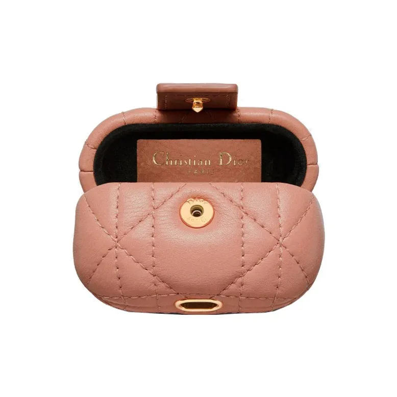 DIOR Earphone Cases-3